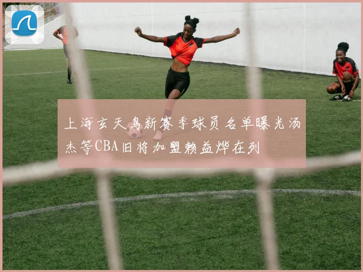 上海玄天鸟新赛季球员名单曝光汤杰等CBA旧将加盟赖益烨在列