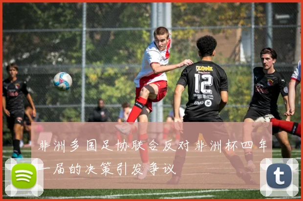 非洲多国足协联合反对非洲杯四年一届的决策引发争议