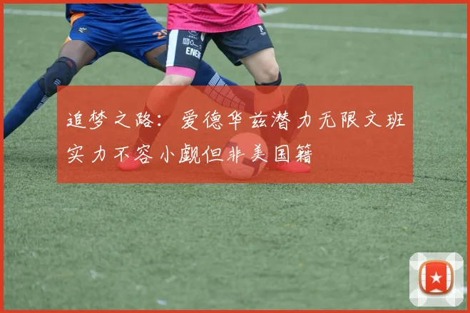 追梦之路：爱德华兹潜力无限文班实力不容小觑但非美国籍