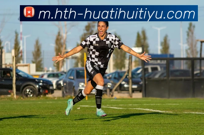 华体会体育平台生态图